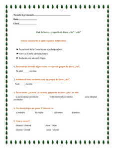 fisa de lucru grupul de litere che si chi romana clasa I scoalalatimp.net 1 fisa de lucru grupul de litere che si chi romana clasa I scoalalatimp.net 1