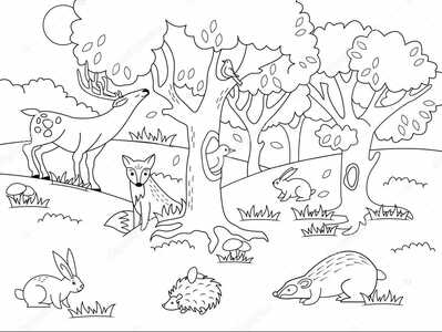 animale in padure de colorat animale in padure de colorat