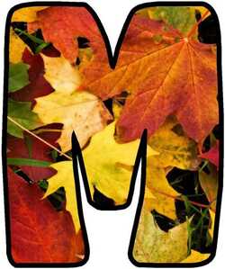 litere de decorat clasa M