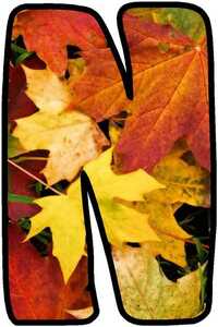 litere de decorat clasa m1